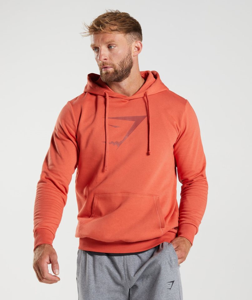 Bluzy Z Kapturem Gymshark Sharkhead Infill Męskie Pomarańczowe | PL 390HXS